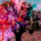 Beyond the Dark: The Work of Luca Artioli