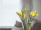 source: pixabay.com