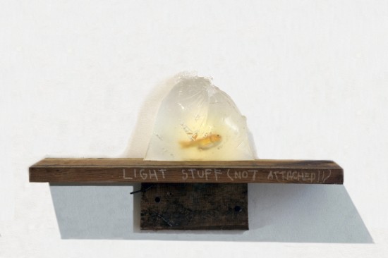 David Jacobs, "Hipster Aquarium"