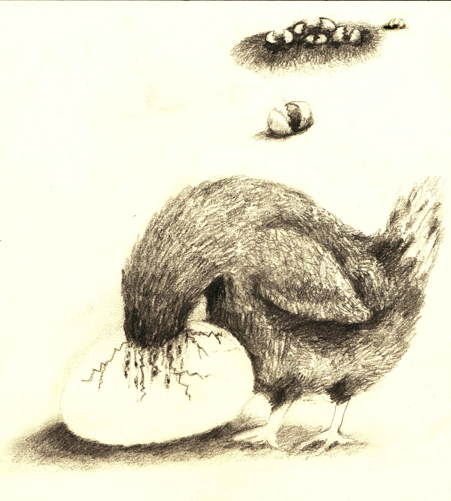 Boeeuen Choo, "Over-protected Parents"
